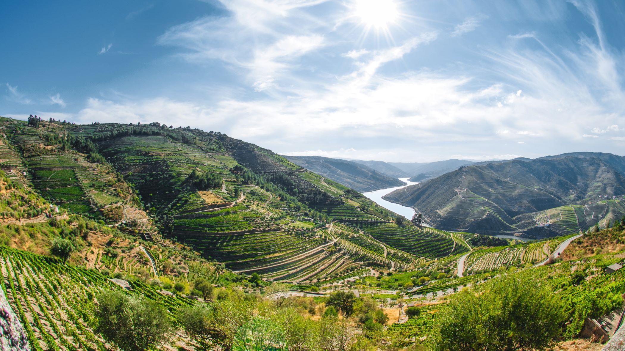 Douro Tal | © A-ROSA