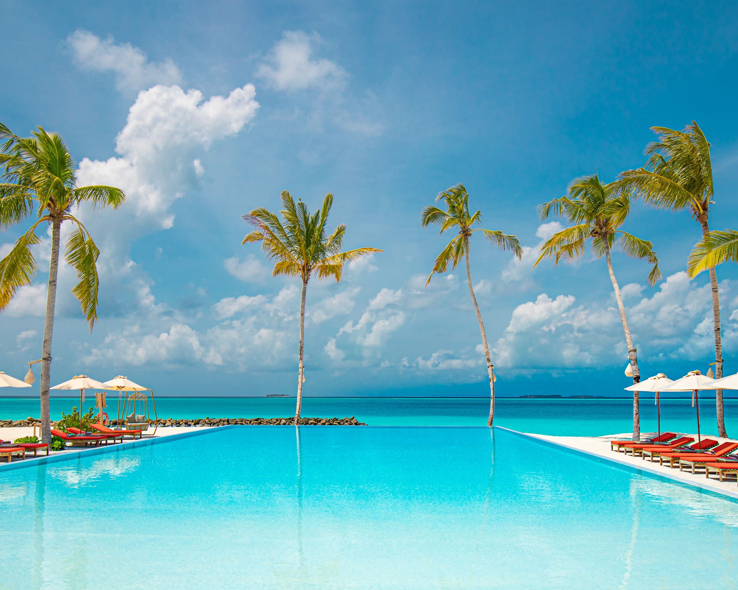 Pool mit Sonnenliegen und Palmen mit Blick aufs Meer | © Adobe Stock