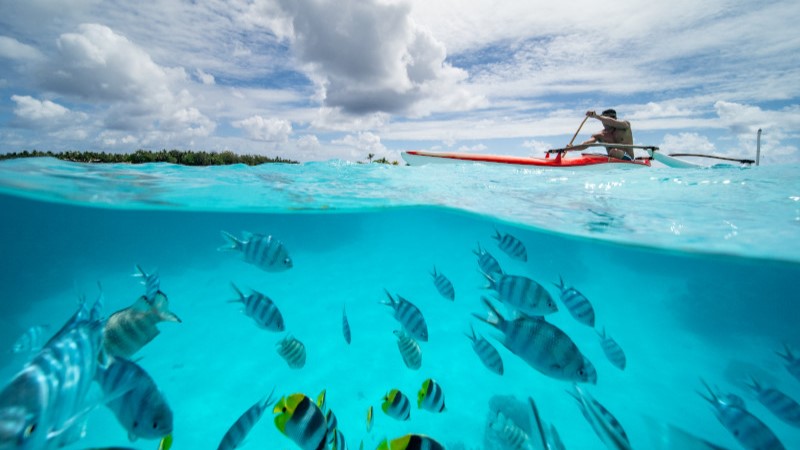 Kajakfahrer und darunter die Fische im Meer | © HX Hurtigruten Expeditions