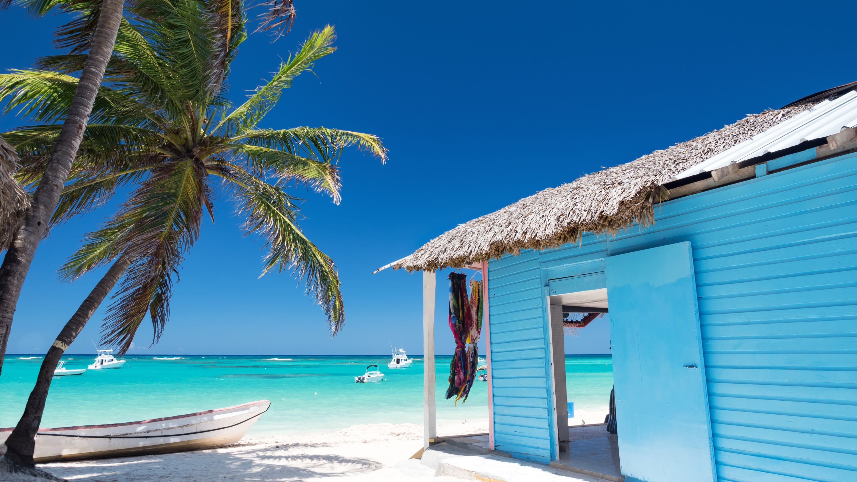 Typisches karibisches Haus am Atlantikstrand, umgeben von Kokospalmen | © Adobe Stock