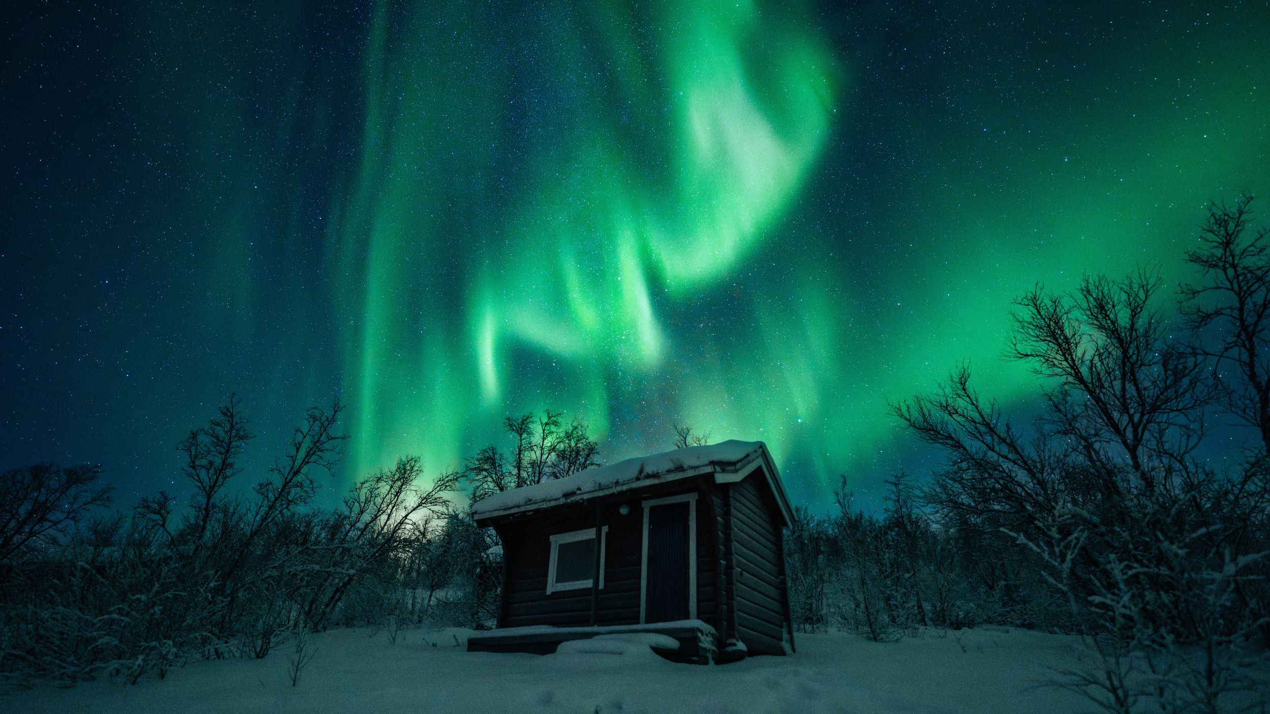 Norwegen, Alta – Nordlichter über verschneiter Landschaft | © Kay Fochtmann