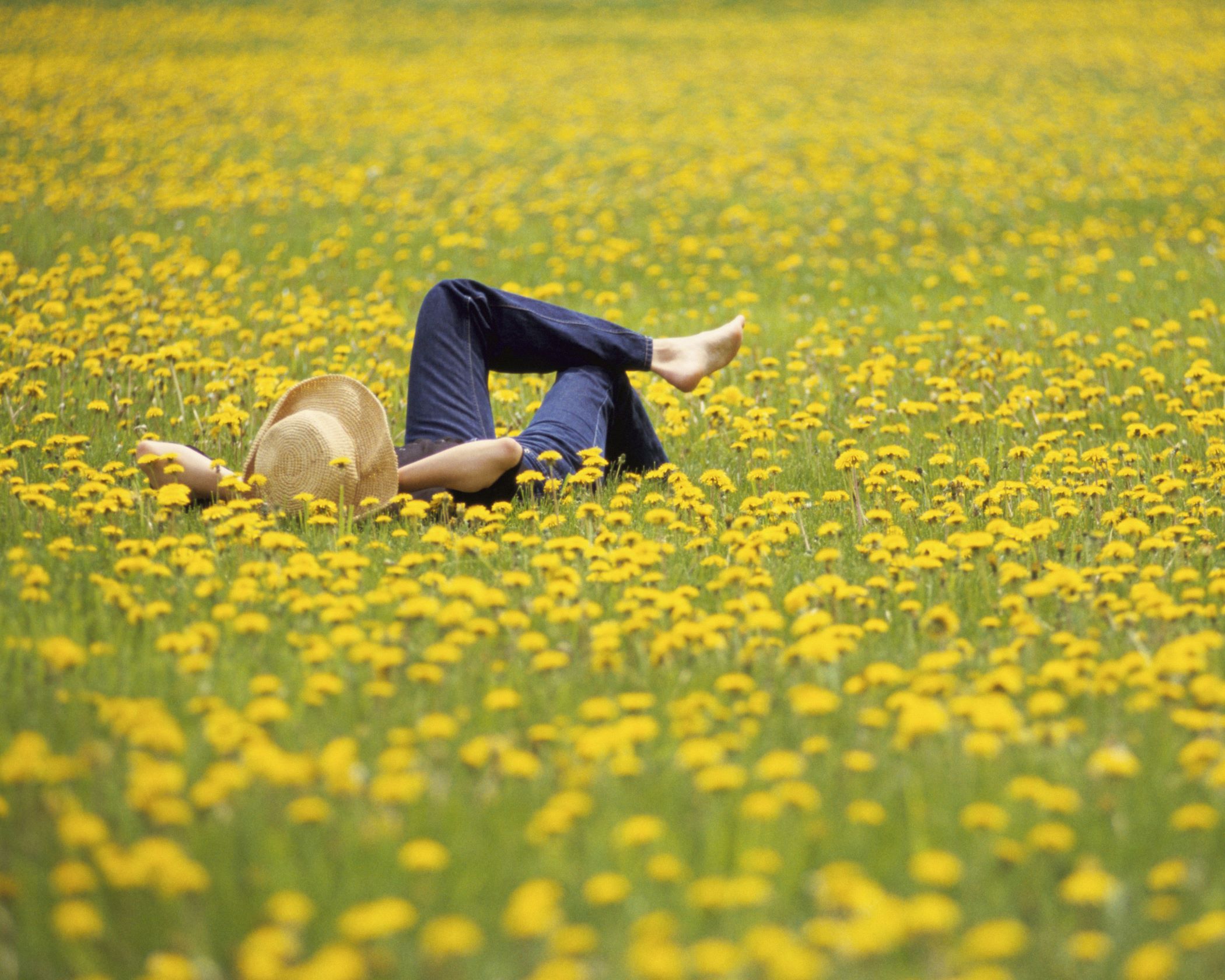 Frau liegt in einer Blumenwiese | © Getty Images