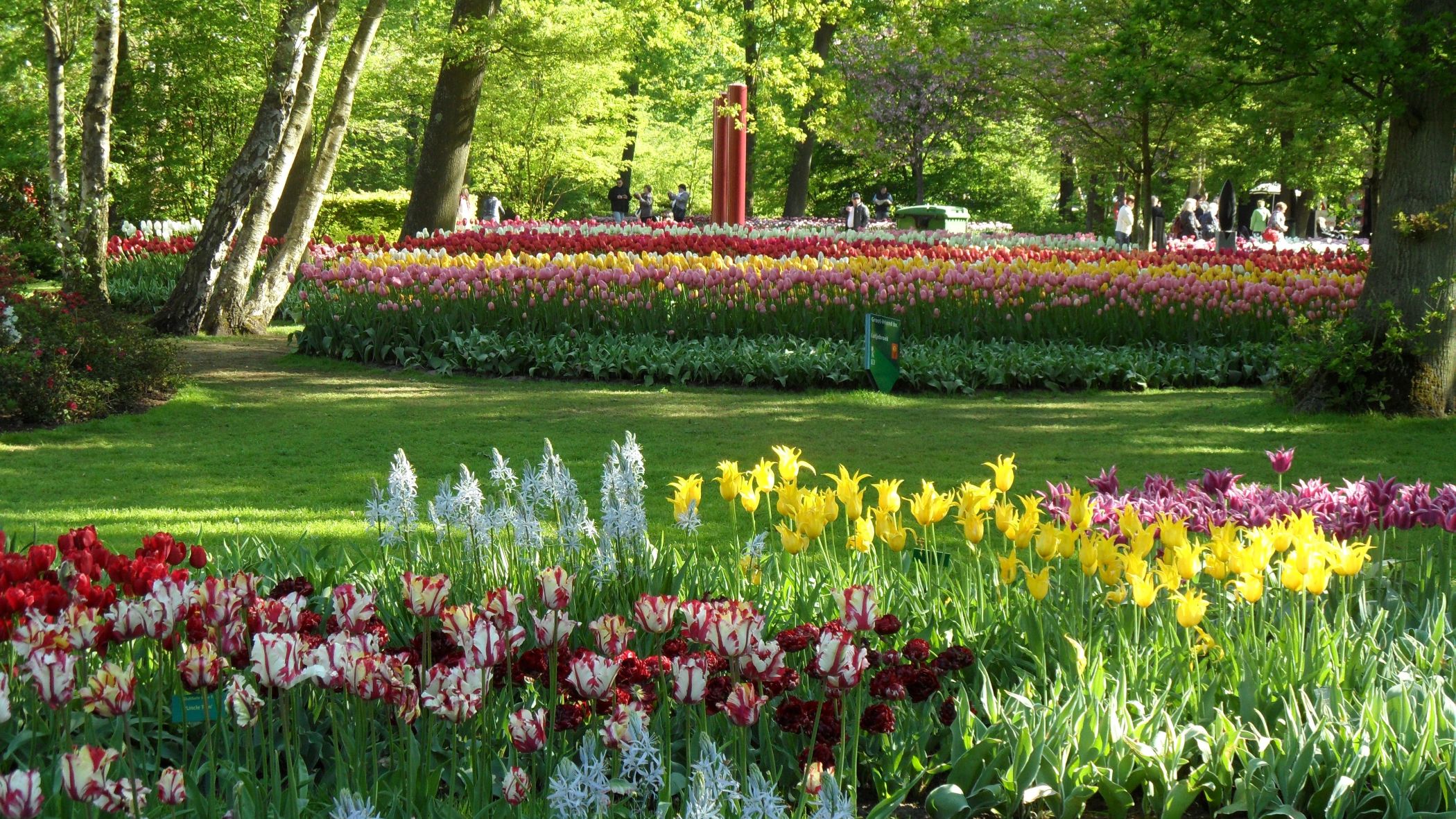 Blumenpark Keukenhof in Holland | © nicko cruises
